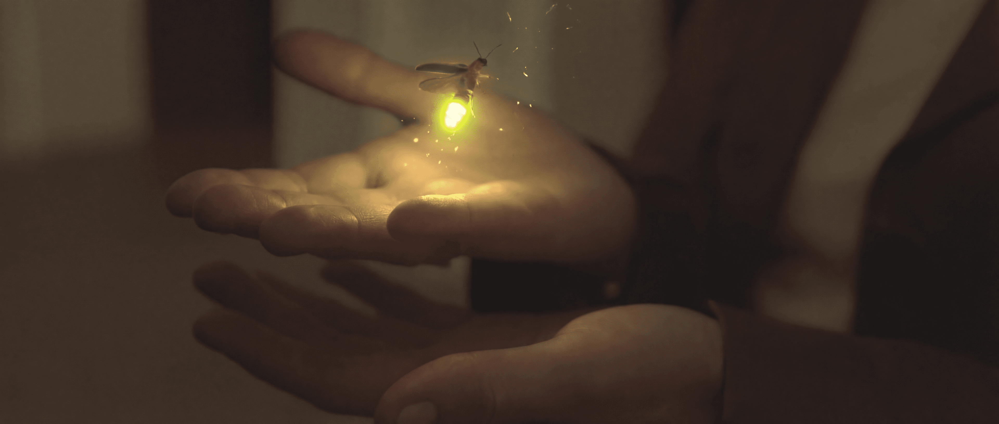 Cinematic close-up of warm, cupped hands holding a glowing, photorealistic firefly with light spilling onto the skin and soft particle embers in the air.